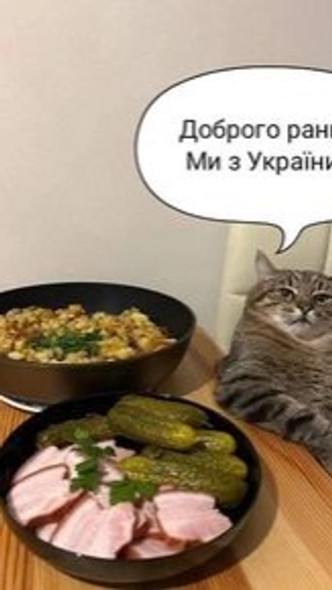 comment_image